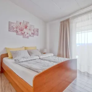 Licul , Rovigno Croazia